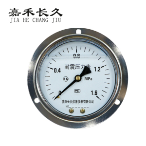 嘉禾长久/ 耐震压力表轴向带边 定制检测款 YTN100ZT 压力量程请备注 /个