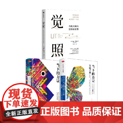 觉照+当下的力量+当下的力量实践手册 埃克哈特·托利等 著 励志与成功