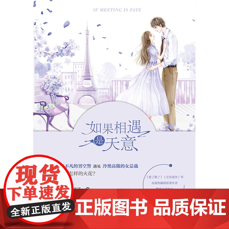 如果相遇是天意 宋方金友情男空警与女总裁言情小说女攻女强军人职业恋警察空警察