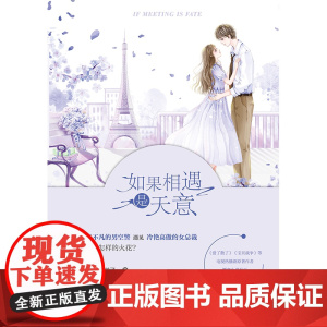 如果相遇是天意 宋方金友情男空警与女总裁言情小说女攻女强军人职业恋警察空警察