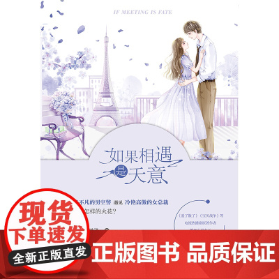 如果相遇是天意 宋方金友情男空警与女总裁言情小说女攻女强军人职业恋警察空警察