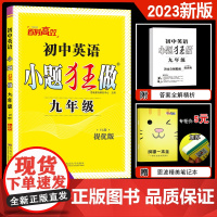 2024新版 恩波教育小题狂做提优版英语九年级全一册 江苏译林YL版9年级上下23年秋同步初中初三课时类完形阅读提优教辅