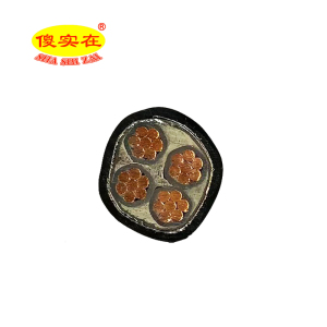 傻实在 电缆国标全项保检 ZC-YJV22 4*35mm² 米