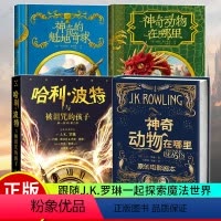 [正版] 神奇动物在哪里+哈利波特与被诅咒的孩子+神奇的魁地奇球+神奇动物在哪里 全4册 JK罗琳哈利波特番外篇 哈利