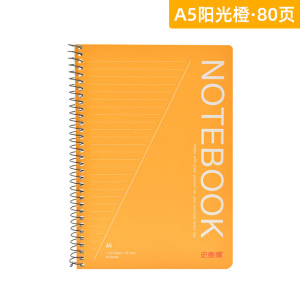 史泰博 YD 文具A5笔记本加厚商务本子简约小清新大学记事本日记本批发