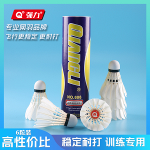 强力(QIANGLI)羽毛球正品耐打鸭毛防风羽毛球专业比赛用球耐打王训练球