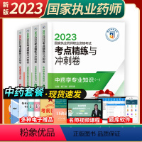 考点精练[中药全套4科] [正版]执业药师考点精练与冲刺卷全套中西药任选2024新版执业药师考试密押卷历年真题习题集题库