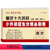 [正版]24新版 语文 小升初招生分班必刷卷 重庆十大名校精选精解精练小学生56五六年级真题模拟摸底初一7年级入学考试