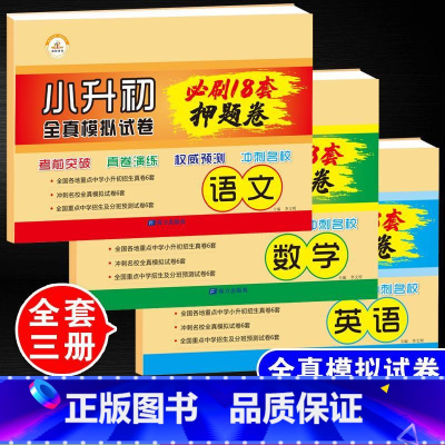 小升初全真模拟测试卷押题卷[全套3本] 小学升初中 [正版]2023年小升初必刷题人教版语文数学英语全套3本系统总复习真