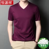 恒源祥冰丝短袖t恤男v领2025新款桑蚕丝莱赛尔鸡心领男士体恤衫