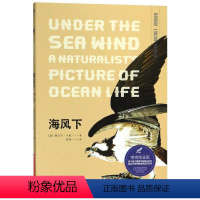 [正版]图书 蓝知了:海风下 (博物图鉴版)[美]蕾切尔·卡森9787568035941华中科技大学出版社