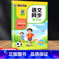 3年级下册 语文同步练字帖 [正版]三年级练字帖上册下册语文字帖人教版同步每日一练小学生生字组词成语生字组词成语笔顺描红