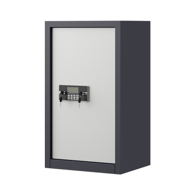 阿拉贡指纹电子保密柜钢制密码文件柜档案柜办公柜矮柜保密资料柜单门灰白:电子锁