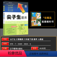 数学 小学六年级 [正版]2024春 尖子生题库数学六年级下册人教版 小学6年级课堂同步解读解析辅导讲解练习册资料书R版