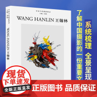 中国当代摄影图录 王翰林 刘铮著 当代摄影大师成名作摄影高清作品集纪实摄影照片解析摄影书籍摄影画册精装图鉴 摄影艺术鉴赏