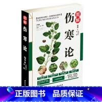 [正版]全彩图解伤寒论 解伤寒杂病论张仲景中医养生四大名著经典书籍保健养生中医入门级书 金匮要略温病条辨千金方本草 97