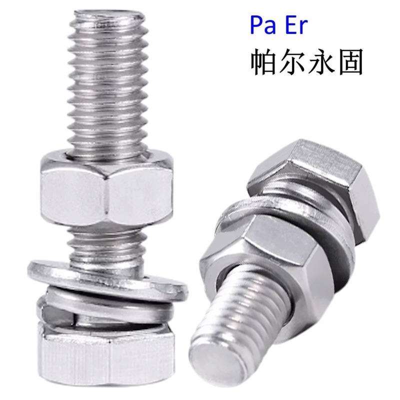 帕尔永固 镀锌穿钉(带垫片带母)(M16×350) 套