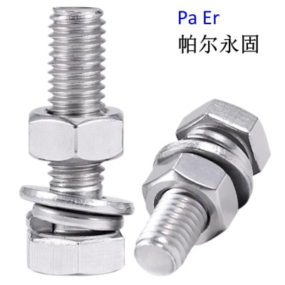 帕尔永固 镀锌穿钉(带垫片带母)(M16×350) 套