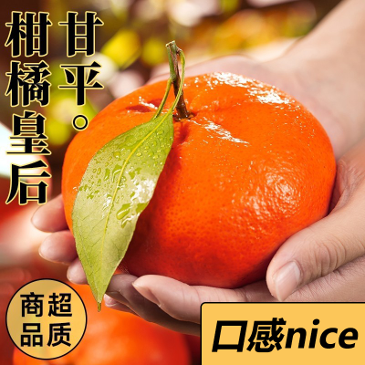 [西沛生鲜]四川甘平皇后柑橘 净重5斤 特大果 单果90mm+ 产地精选 甜美多汁 坏果包赔