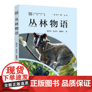丛林物语