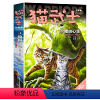 七部曲-4暗由心生 [正版]猫武士全套42册 第一二三四五六七部曲全套 传奇的猫族儿童中小学生动物小说小学生课外阅读书籍