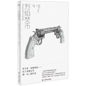 [N]烈焰焚币-9787532795017