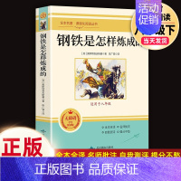 完整版]钢铁是怎样炼成的.北京燕山出版社 [正版]经典常谈朱自清和钢铁是怎样炼成的傅雷家书原著完整版初中生八年级下册初二