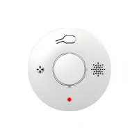 PGST 烟雾探测器 PG-S03 个