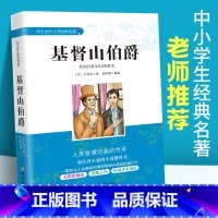 [正版]基督山伯爵书籍 原著大仲马 中小学生成长经典名著 7七8八9九年级课外阅读书籍中学生课内外文学经典书籍 青少年