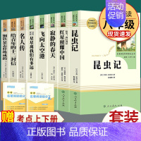 8本套]八年级上下册必读名著 人教版 [正版]八年级上册必读名著昆虫记和红星照耀中国寂静的春天星星离我们有多远飞向太空港