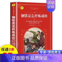 钢铁是怎样练成的 [正版]名著任选初中生必读课外书名著原著小说经典儿童文学昆虫记傅雷家书猎人笔记海底两万里简爱中小学生课
