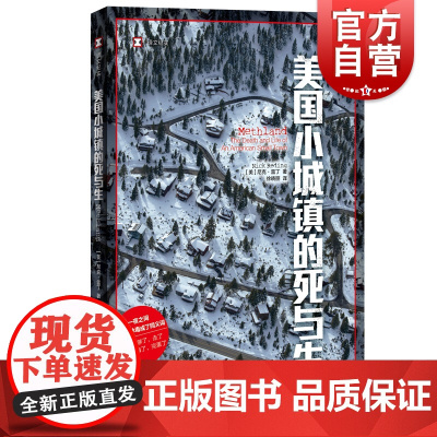 美国小城镇的死与生 译文纪实尼克雷丁作品上海译文出版社纪实文学