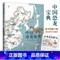 中国恐龙地图6岁 [正版]中国恐龙地图6岁+儿童古生物科普绘本种类动物探索地理分布彩插图
