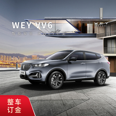 订金-9.9元预定享WEYVV6新车整车颜色以线下经销商协商为准标准版