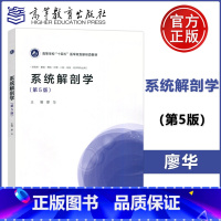系统解剖学(第5版) [正版] 系统解剖学 第5版 第五版 廖华 供临床·基础·预防·护理·口腔·检验·药学等专业用