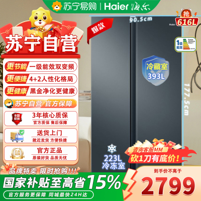 海尔(Haier)BCD-616WGHSSEDC9 616升对开门超薄嵌入冰箱 鲸式储量 黑金净化 双变频一级能效