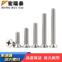 宏瑞泰 不锈钢十字沉头螺丝 M6*65 个
