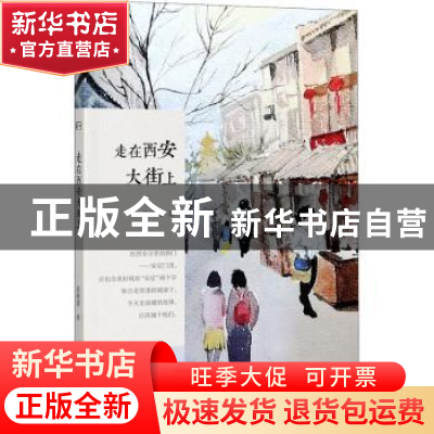 正版 走在西安大街上 张艳茜 陕西人民出版社 9787224136357 书籍