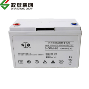 双登铅酸蓄电池6-GFM-50 含配件、卸货