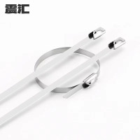 震汇 不锈钢扎带 4.6*300 条