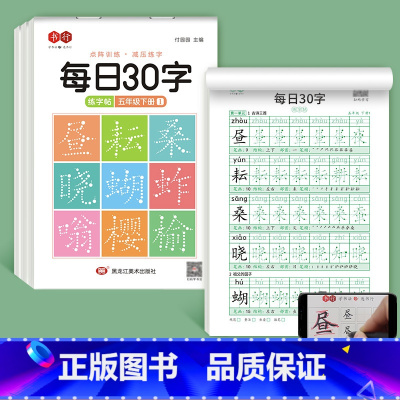 五年级下册3本 [正版]减压同步字帖每日30字一年级字帖上下册语文雷射同步练字帖二三年级人教版小学生每日一练钢笔临摹描红