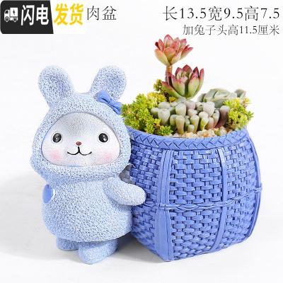 三维工匠大号口径多肉花盆创意个性简约现代卡通可爱精致小动物兔松鼠摆件 篮兔宝贝多肉盆 中等花盆容器