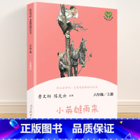 六年级上册 小英雄雨来 [正版]快乐读书吧六年级上册全套任选 爱的教育 童年 小英雄雨来 人教版 曹文轩人民教育小学阅读