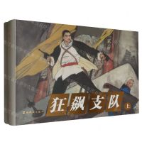 [N]狂飙支队(上下)(精)-9787531494515