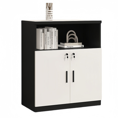 悦兴诚存储柜 两门 台