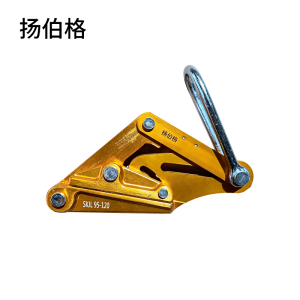 扬伯格 卡头 SKJL95-120 个