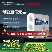汉斯顿/Hunsdon[国家补贴] 0阻垢剂添加净水器家用直饮净水机厨下式RO反渗透母婴直饮机自来水过滤器D3