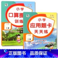 全2册-上册 口算提优训练+应用题天天练 [苏教版] 小学六年级 [正版]小学生口算提优应用题卡天天练一二三四五六年级上