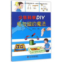 醉染图书电与磁的魔法9787110086407