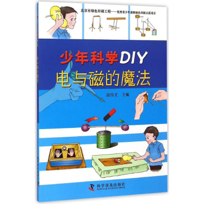 醉染图书电与磁的魔法9787110086407